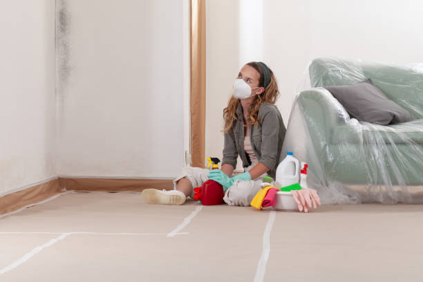 Reliable Black Mold Removal contractor in Traverse City, MI by WQB Mold Removal